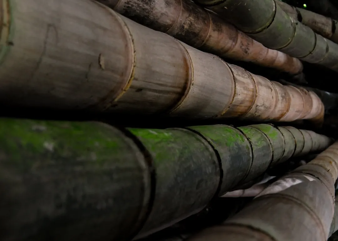 基于巴渝文化的文创伴手礼设计流程及品牌衍生品开发要点