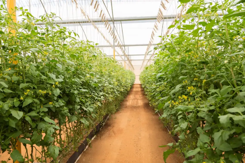 从概念到量产：文创伴手礼生产工艺流程与质量管控要点