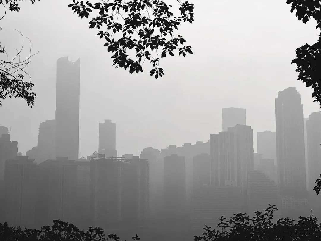 重庆文创IP开发中的地域文化转译方法与设计实践正文配图 2